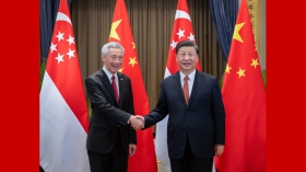 4eef4ef3d86d43eca22966f458c8a7b4_singapur.jpg