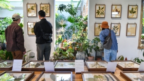 观众正在荒野植物园参观《山川的诗》植物标本艺术展_-111.jpg