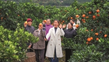 0606AF60_150682_副本.jpg