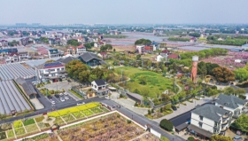 1118AG72_146120_副本.jpg
