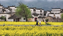 0320AH99_148742_副本.jpg